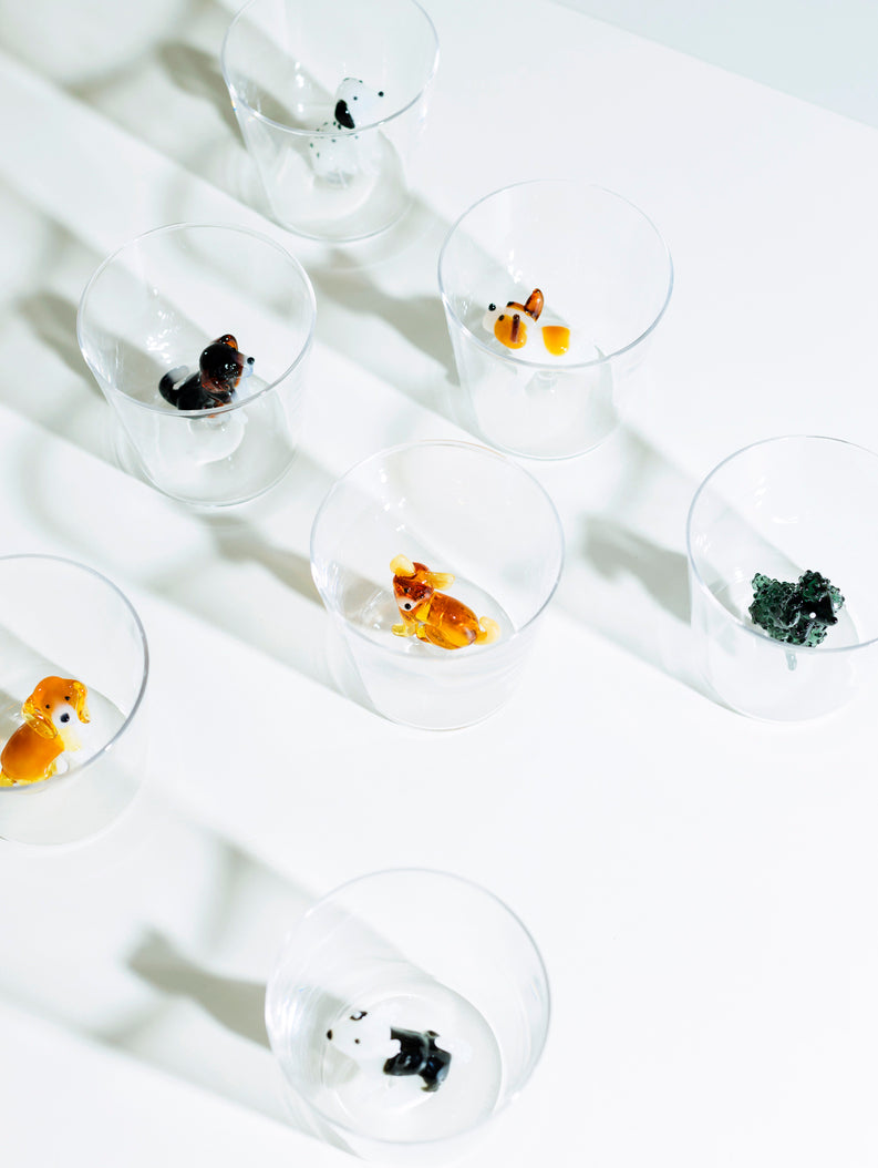 Ichendorf Verre - Golden retriever