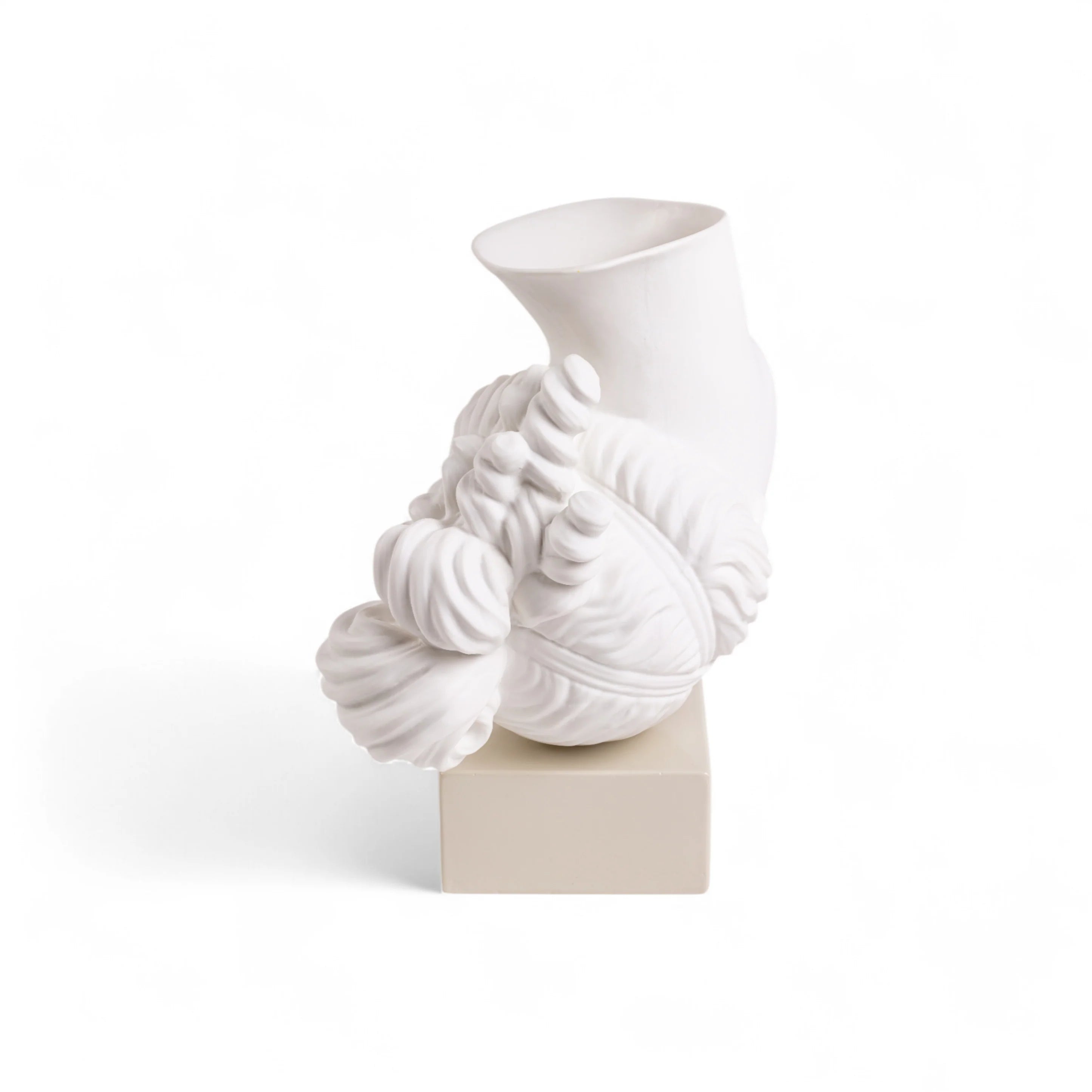 Seletti vase - Amor volat