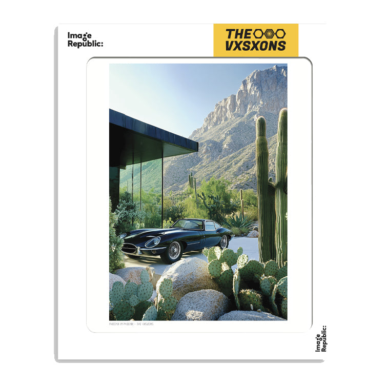 Affiche The Vision 014