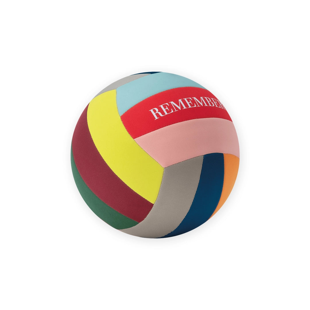 Ballon Volley-Ball
