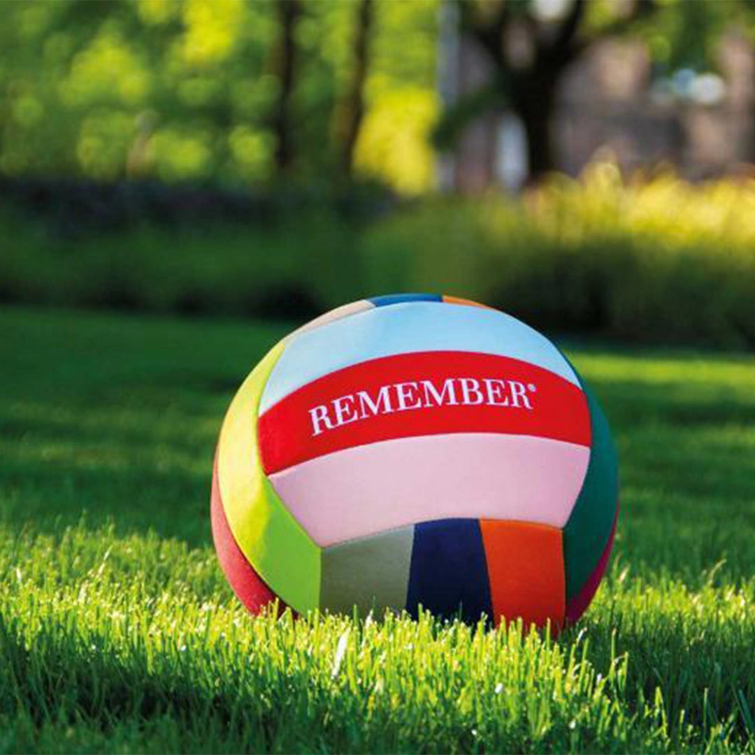 Ballon Volley-Ball
