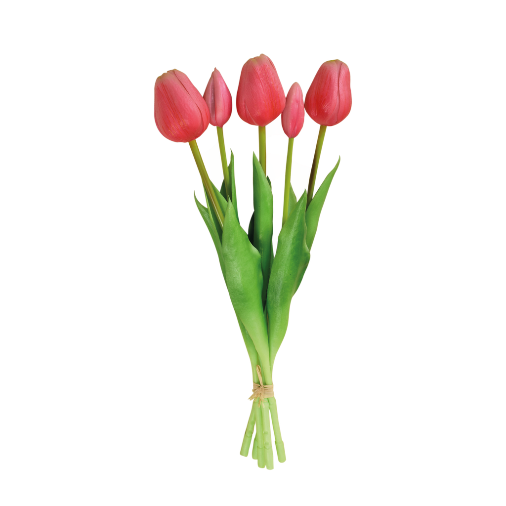 Bouquet de 5 tulipes h.37 cm