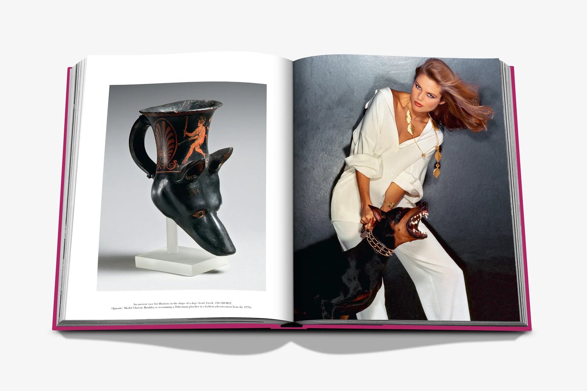 Livre Assouline - Chic dogs