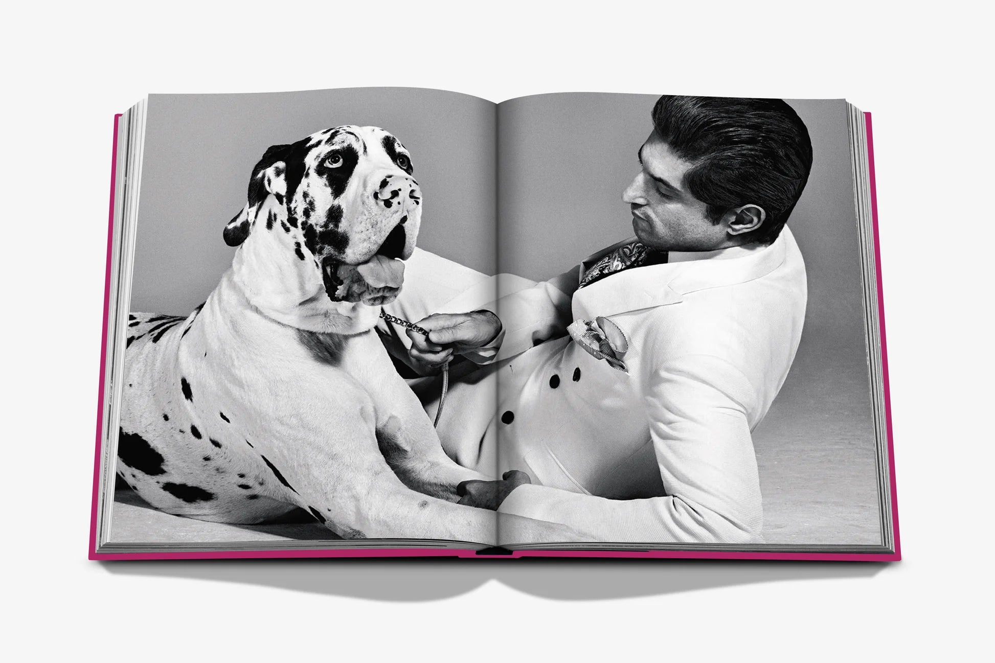 Livre Assouline - Chic dogs