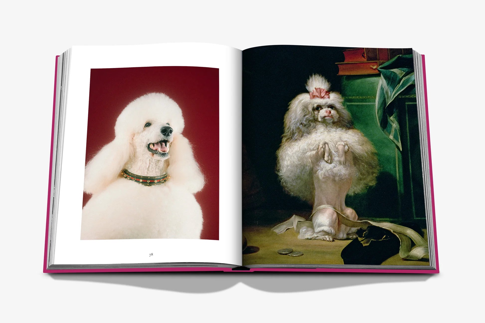 Livre Assouline - Chic dogs