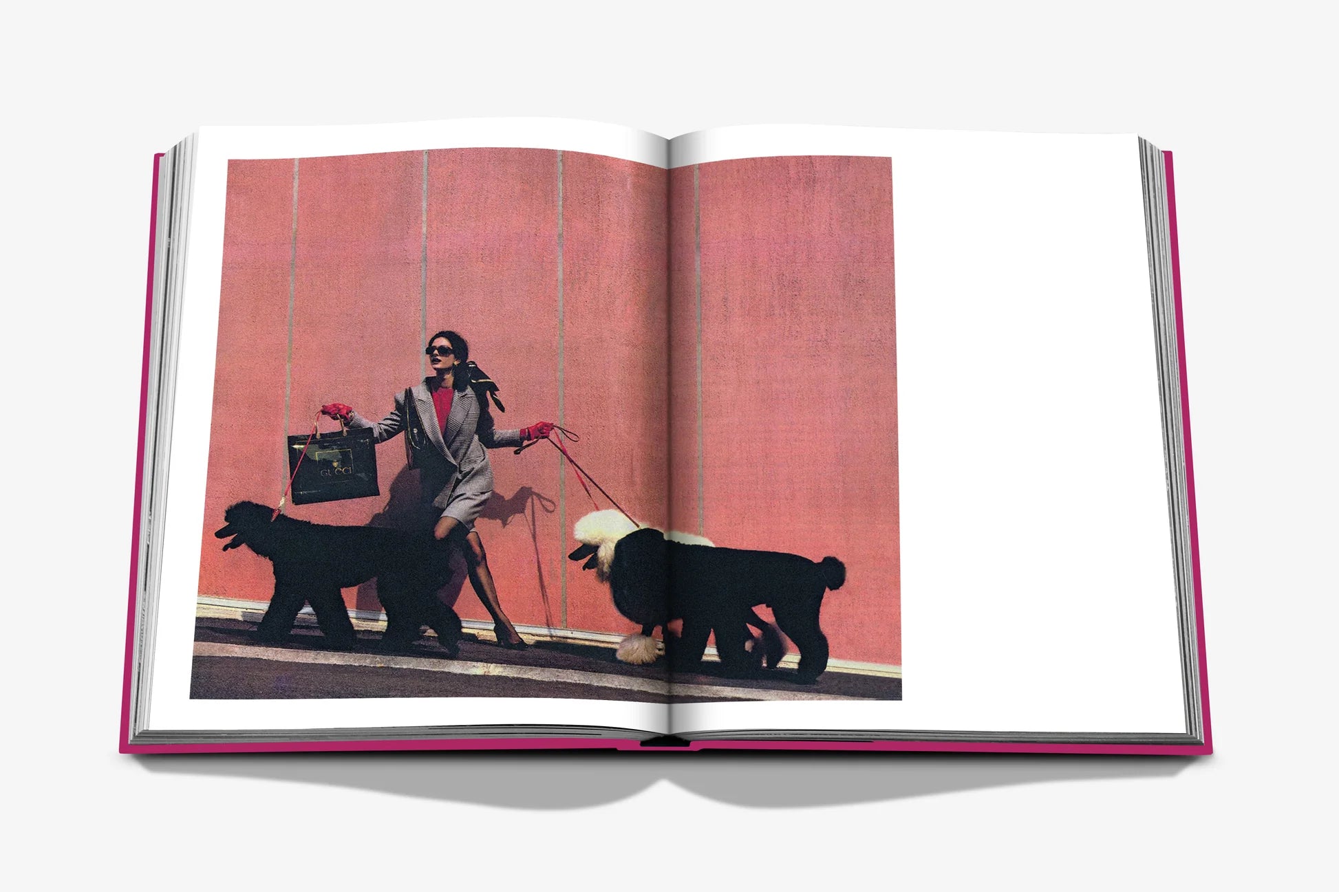 Livre Assouline - Chic dogs