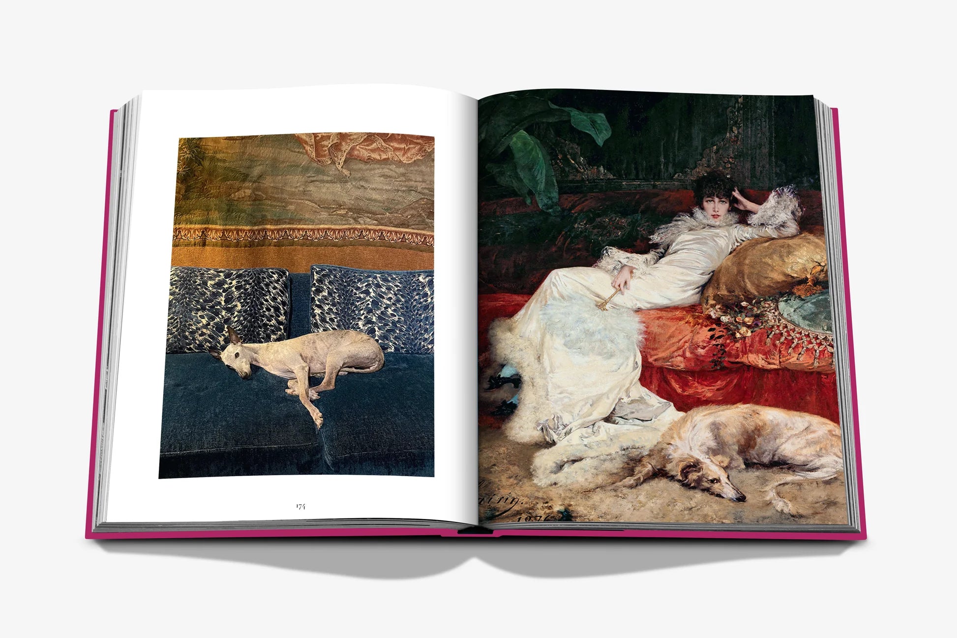 Livre Assouline - Chic dogs