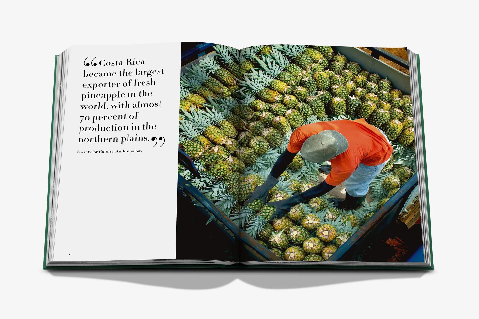 Livre Assouline - Costa Rica Vida