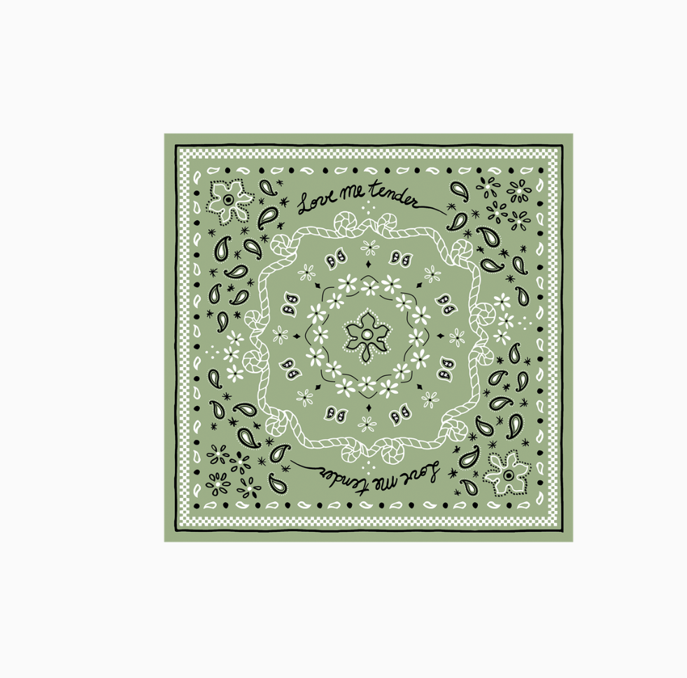 20 Serviettes en papier bandana