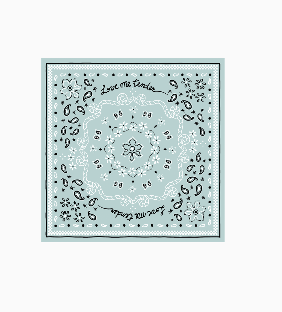 20 Serviettes en papier bandana