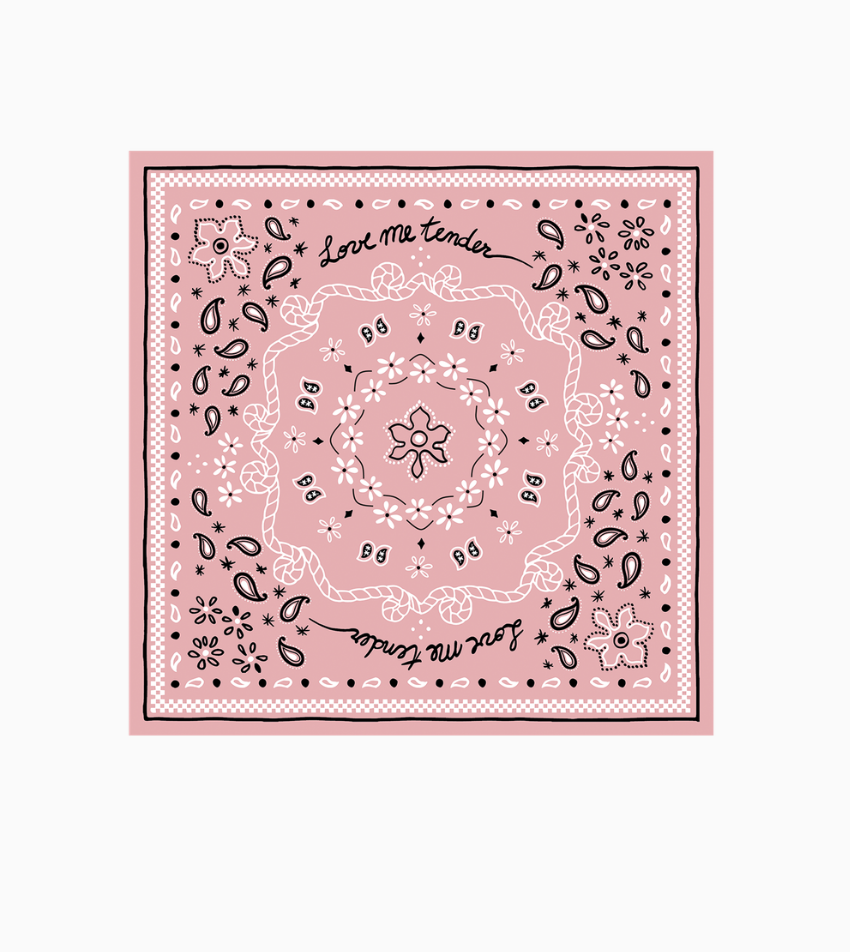 20 Serviettes en papier bandana