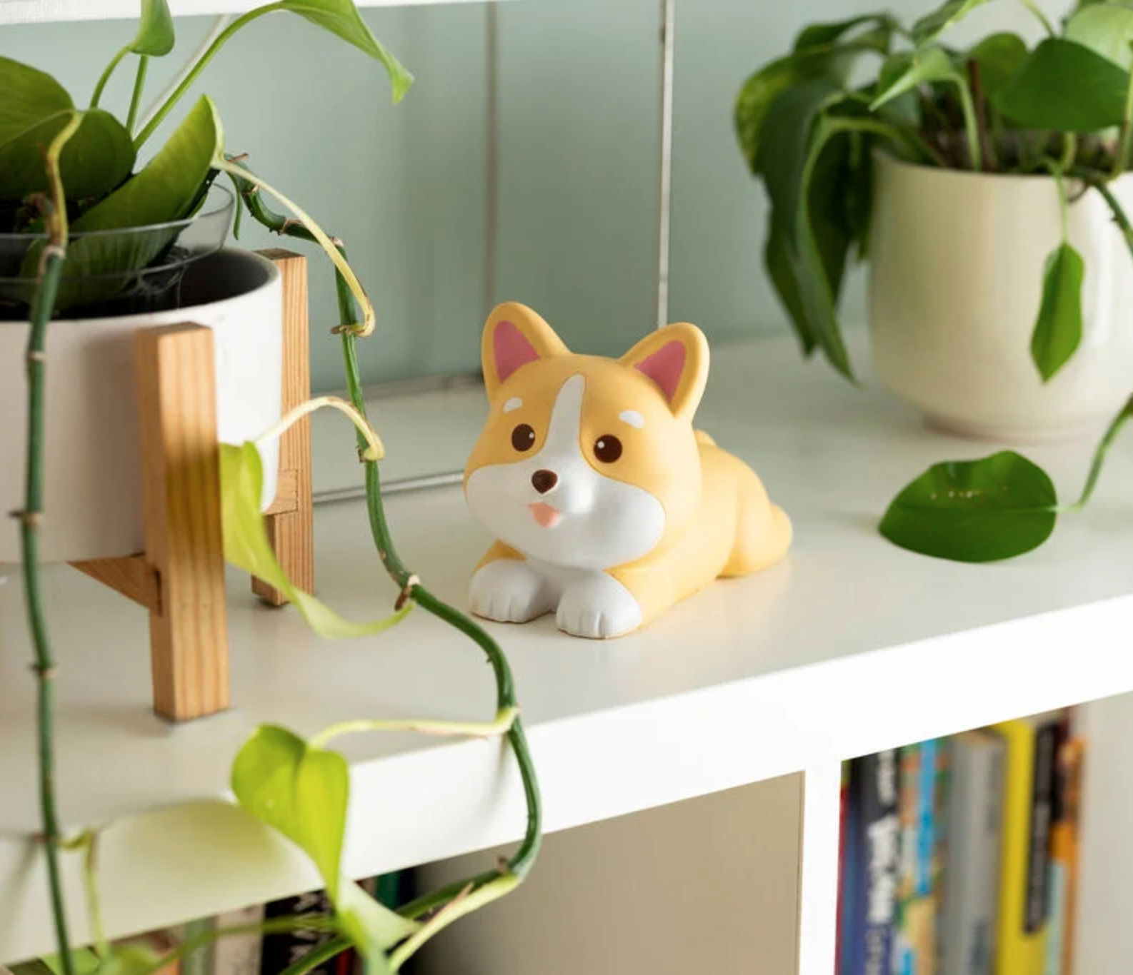 Balle anti-stress - Corgi