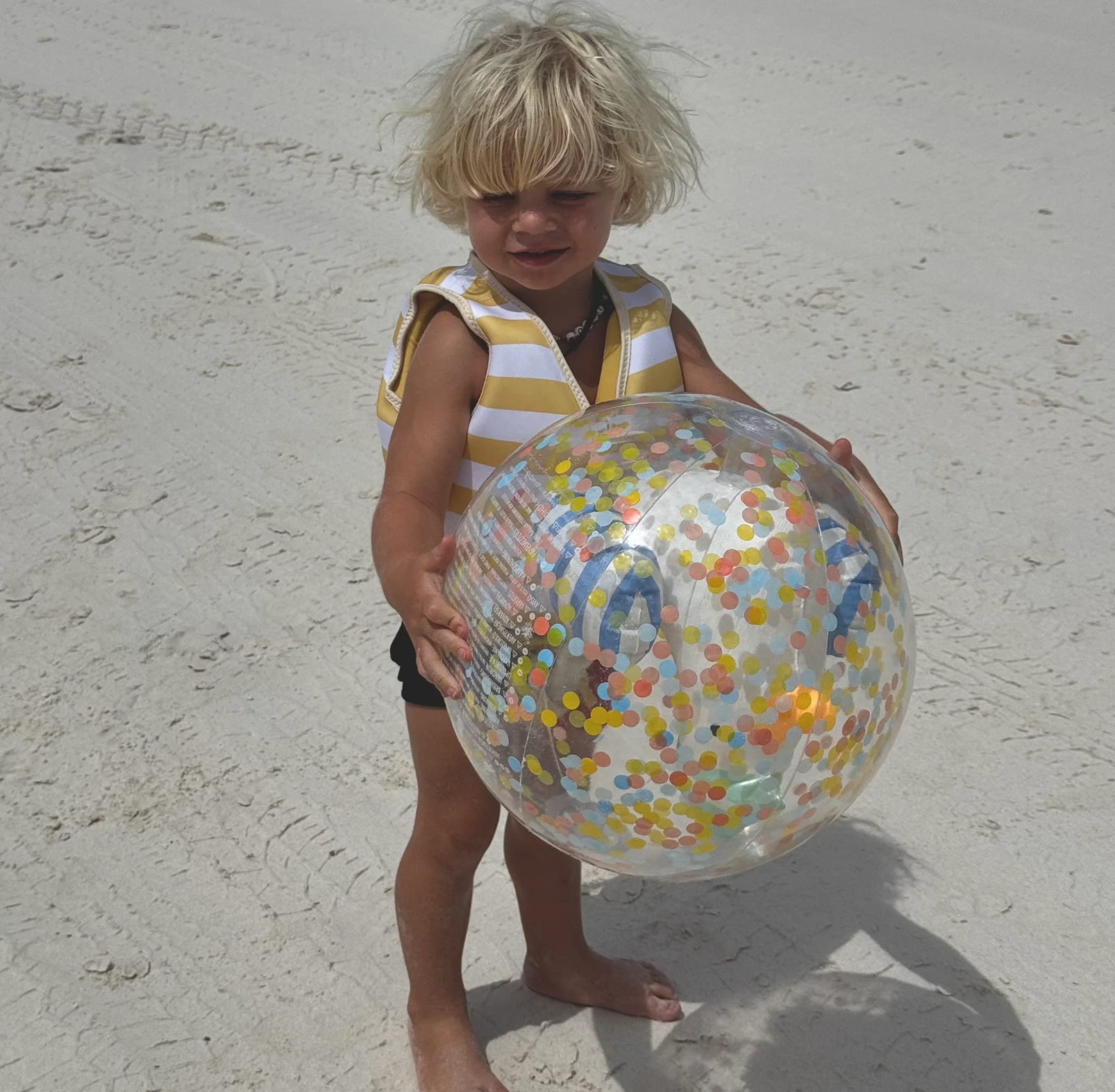 Sunnylife Ballon de plage gonflable 3D - The seagull blue stripe