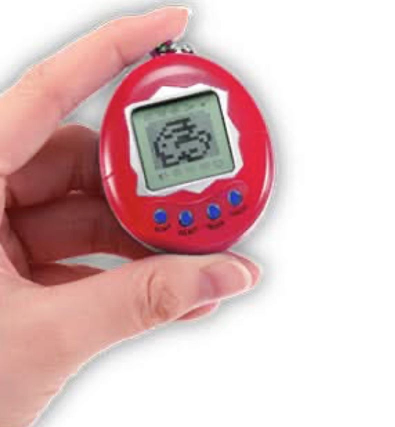 Pocket pet