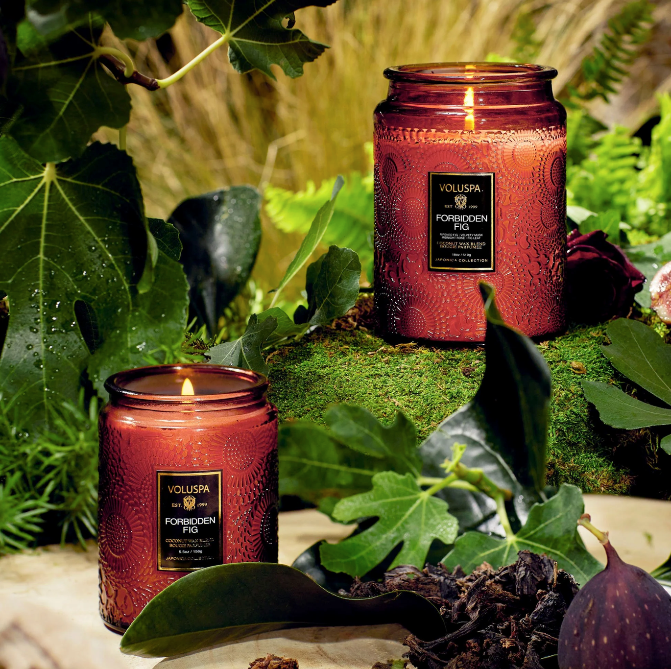 Voluspa bougie parfumée 1 mèche - Forbbiden fig