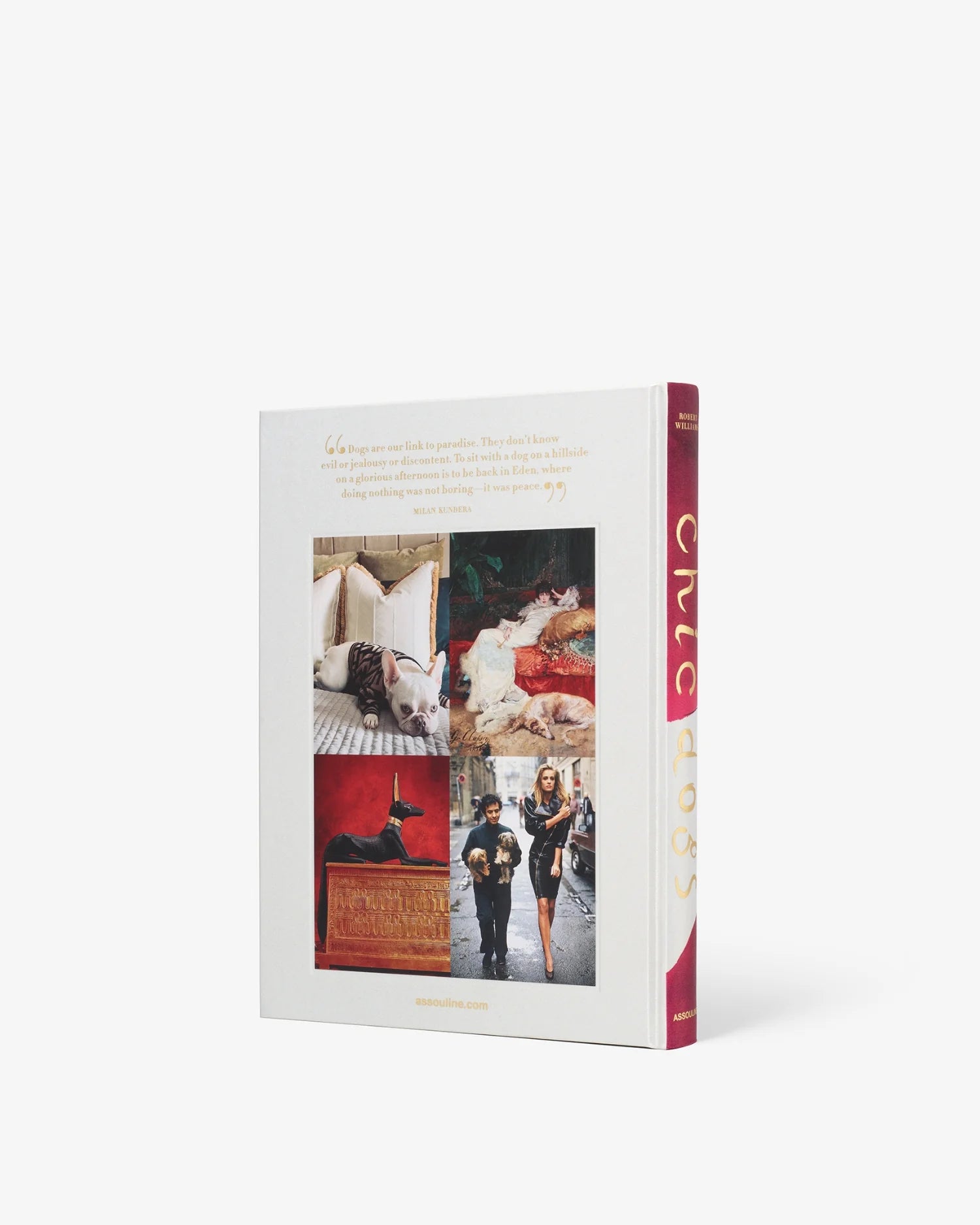Livre Assouline - Chic dogs