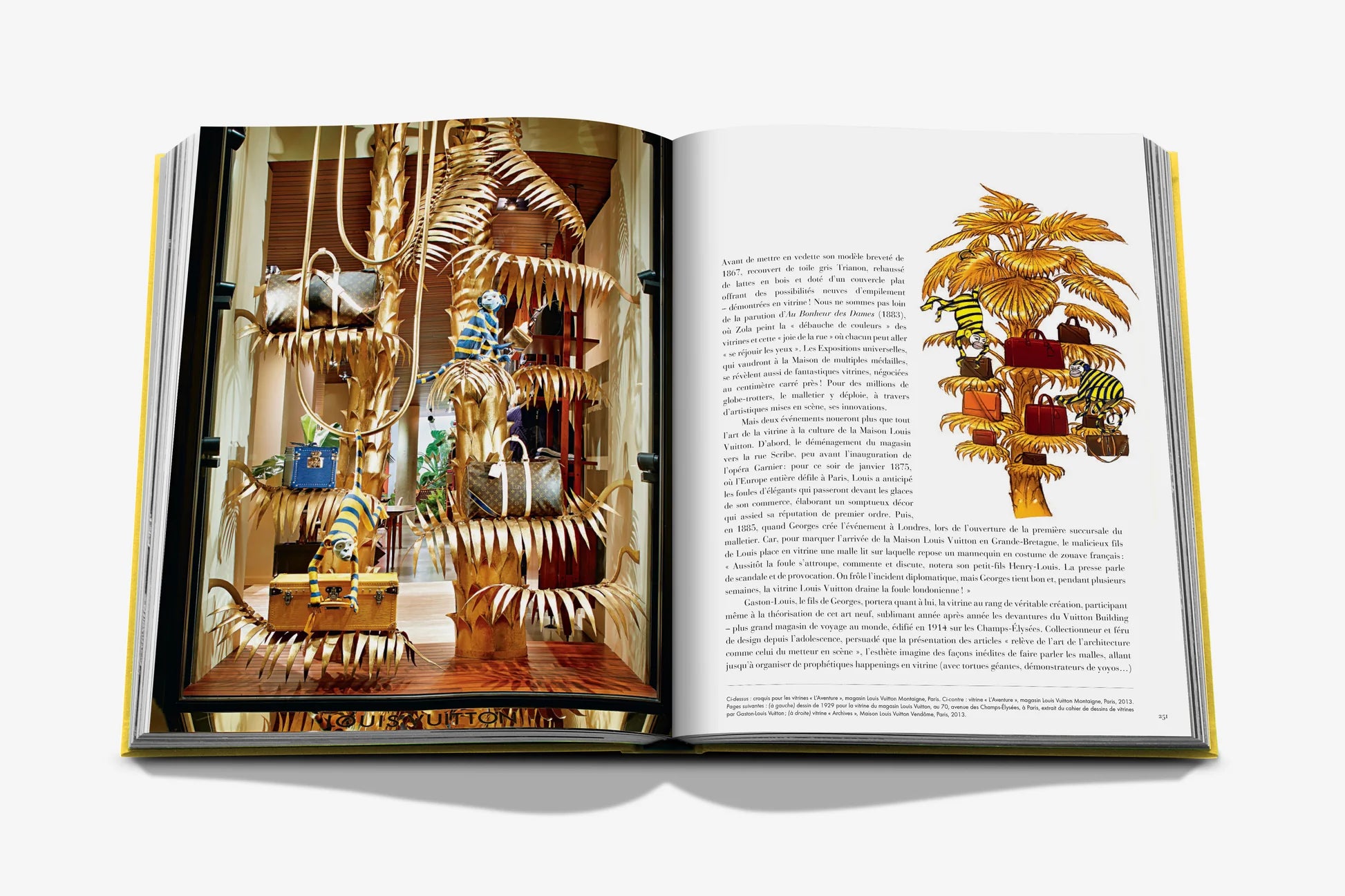 Livre Assouline - From Louis to Vuitton