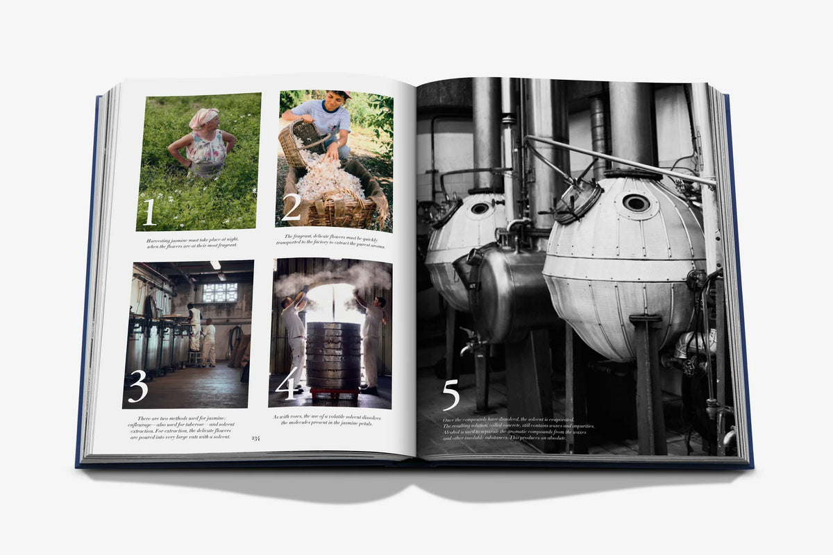 Livre Assouline - Robertet: From Seed to Scent