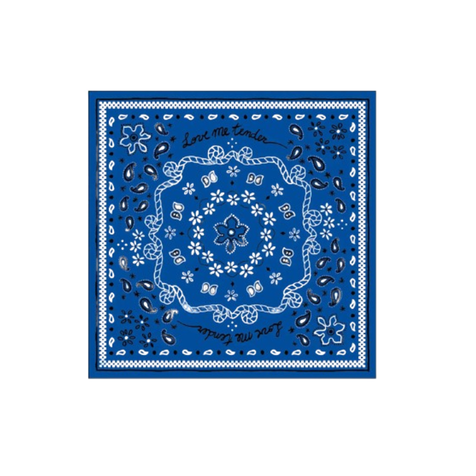 20 Serviettes en papier bandana