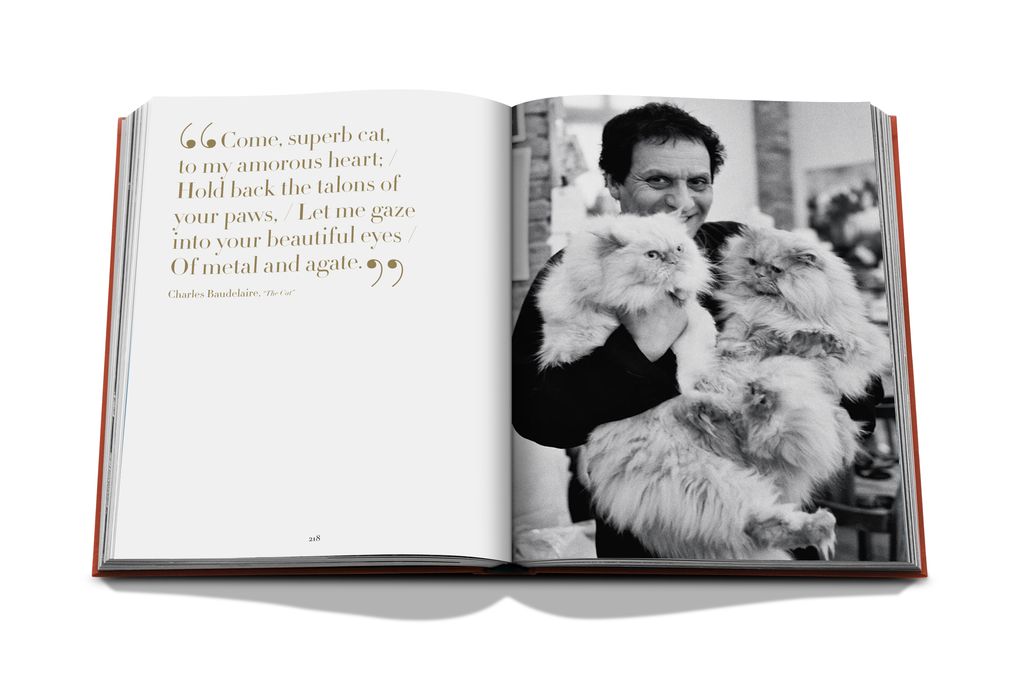 Livre Assouline - Chic cats