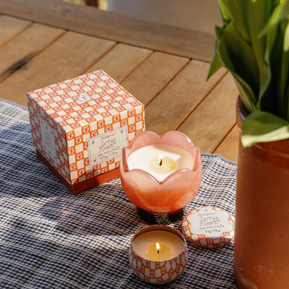 Bougie parfumée Tulip – Cactus Flower