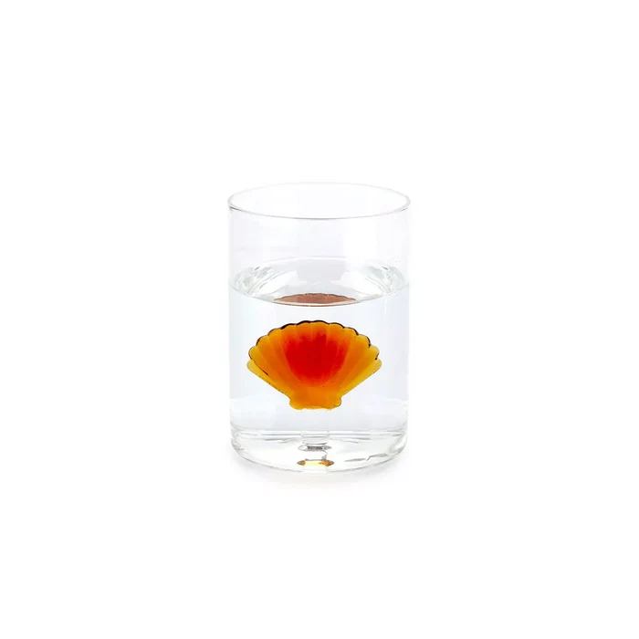 Verre Coquillage - ambre