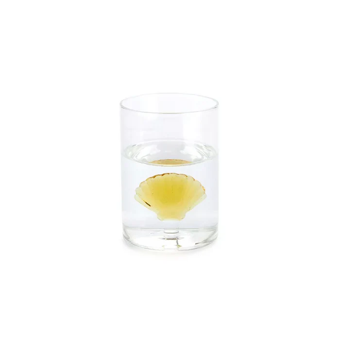 Verre Coquillage - jaune