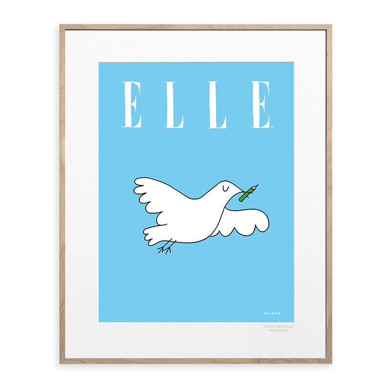 Affiche Soledad - Elle colombe