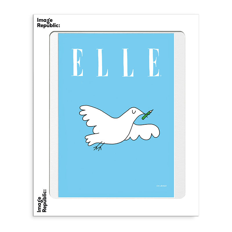 Affiche Soledad - Elle colombe