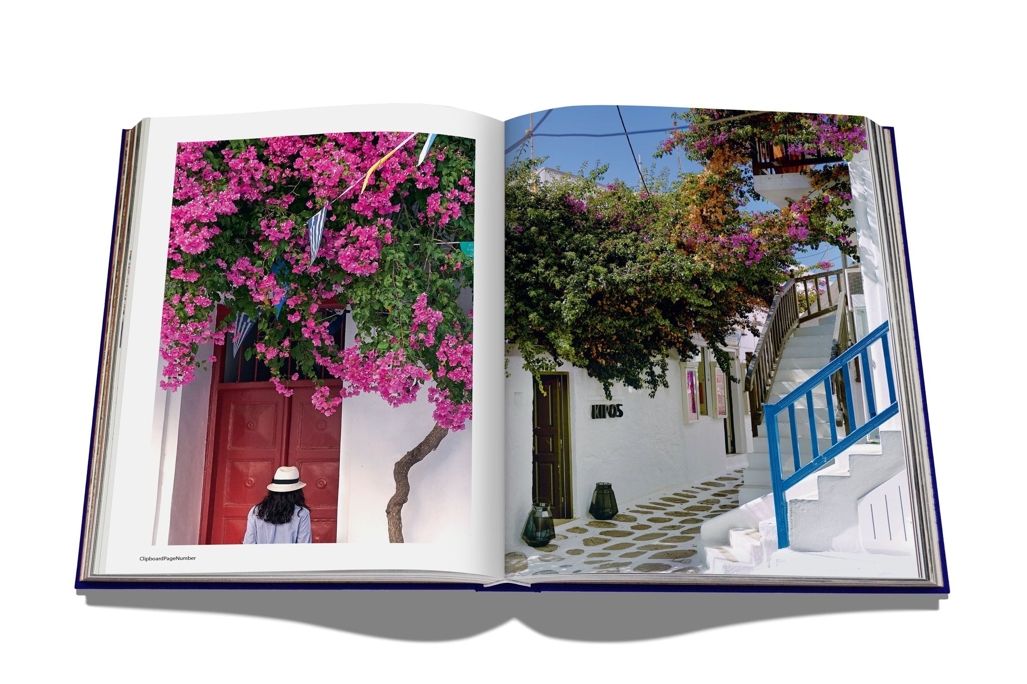 Livre Assouline - Mykonos Muse