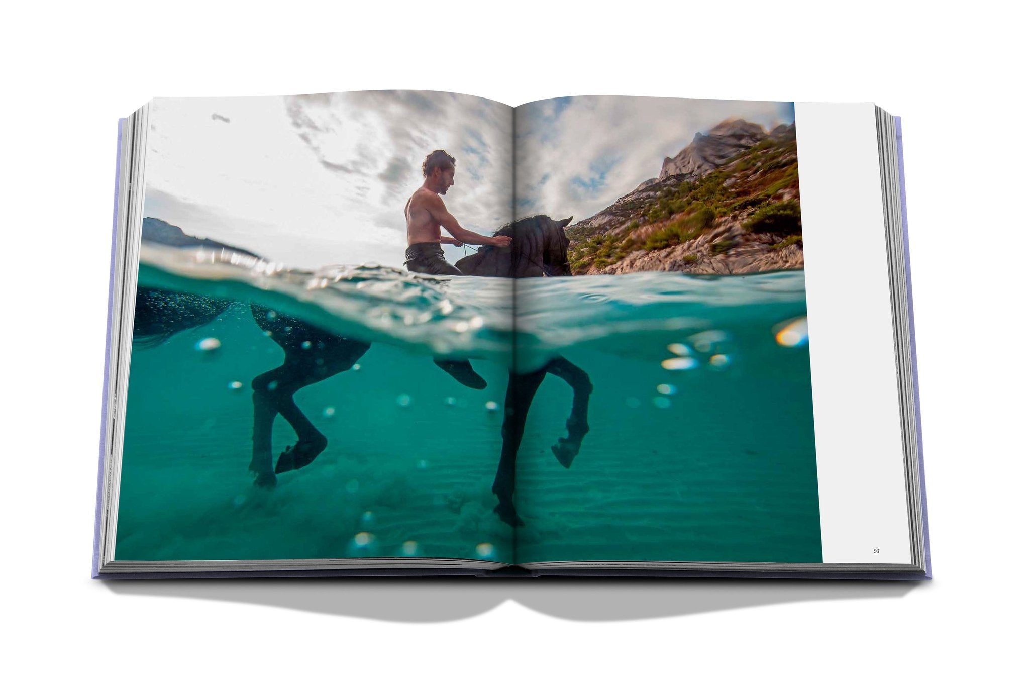 Livre Assouline - Provence Glory