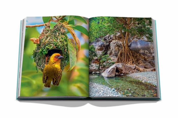 Livre Assouline - Red Sea: The Saudi Coast