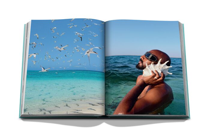 Livre Assouline - Red Sea: The Saudi Coast