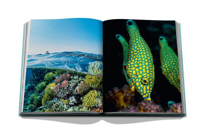 Livre Assouline - Red Sea: The Saudi Coast
