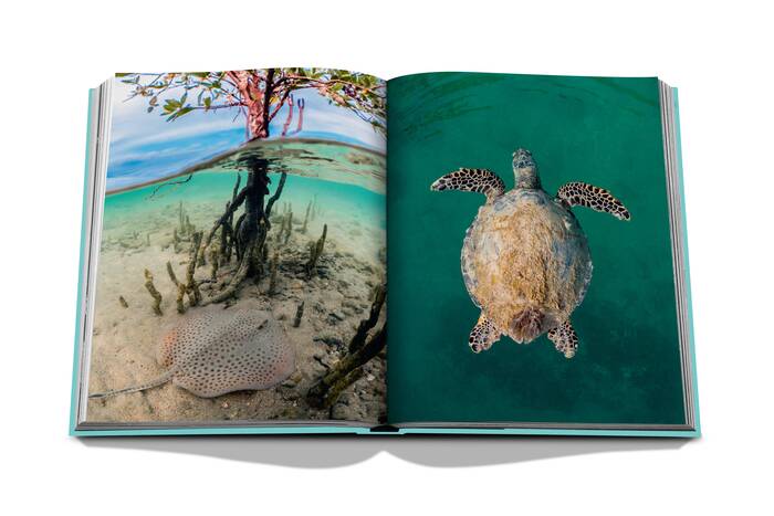 Livre Assouline - Red Sea: The Saudi Coast