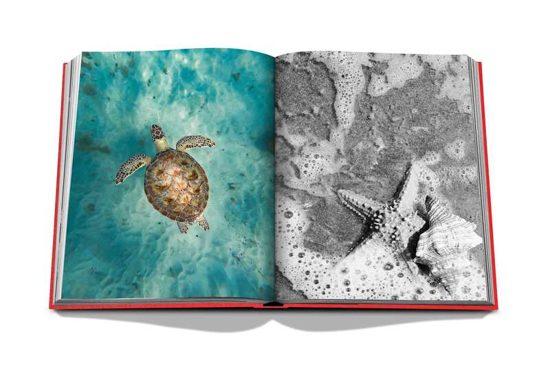 Livre Assouline - St. Barths Freedom