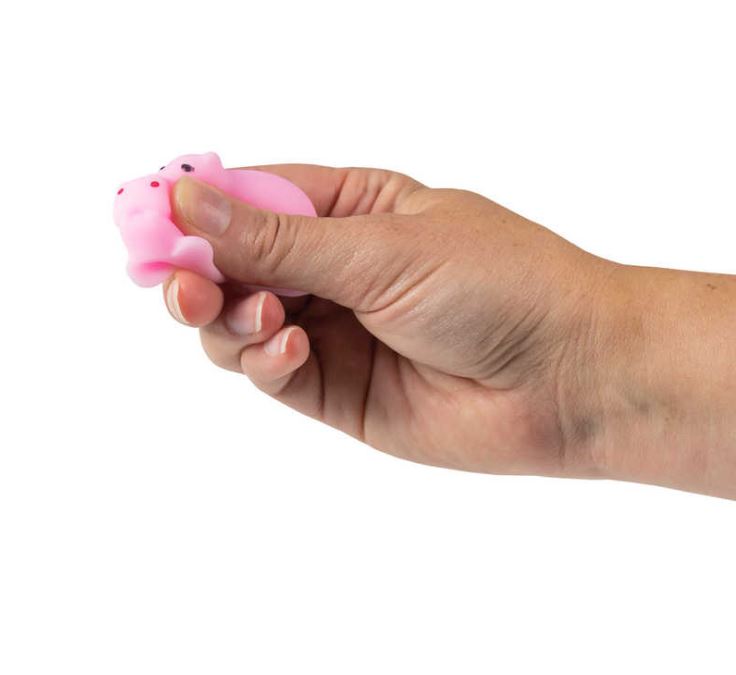 Boite de Squishy animaux