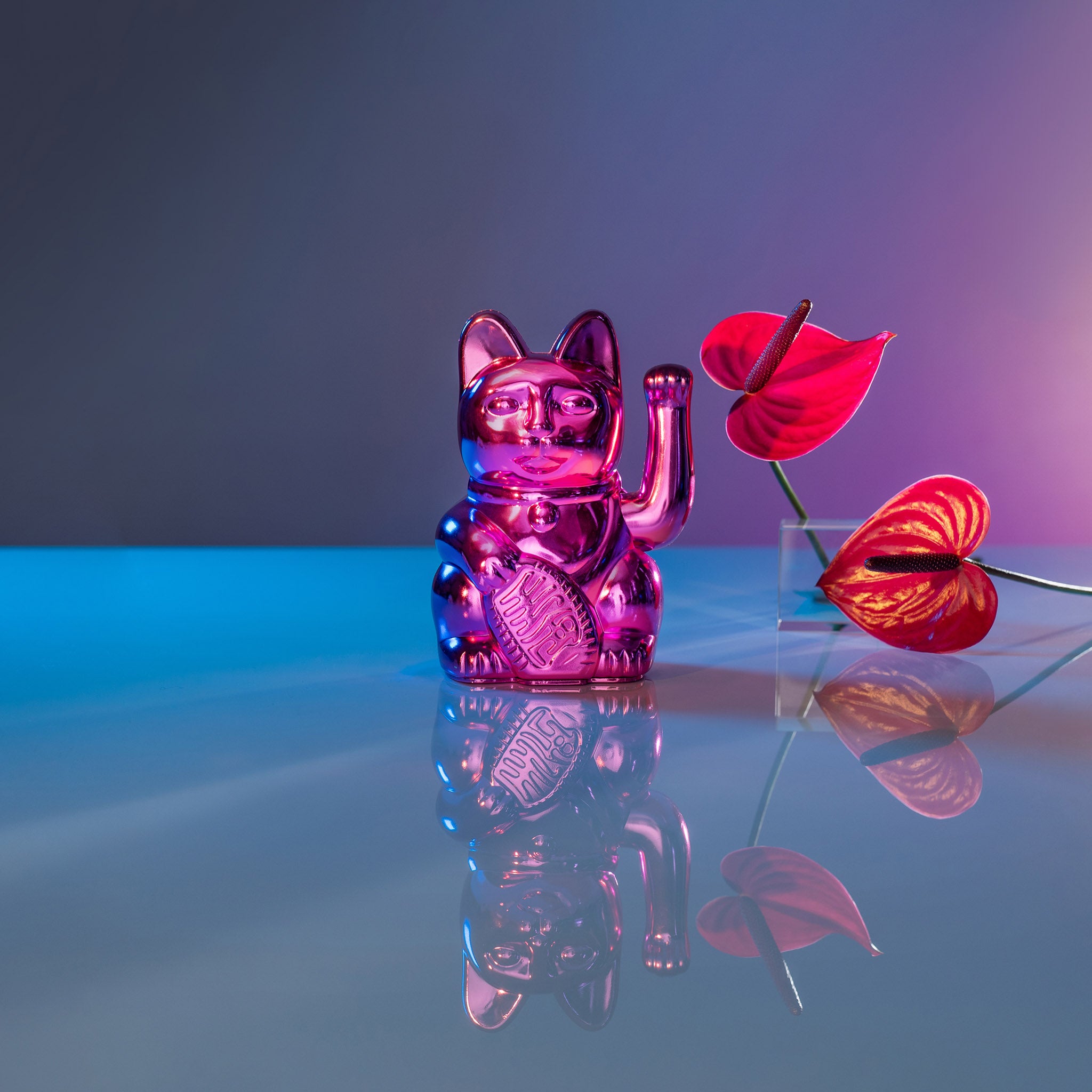 Lucky Cat Cosmic - pink édition limitée Venus