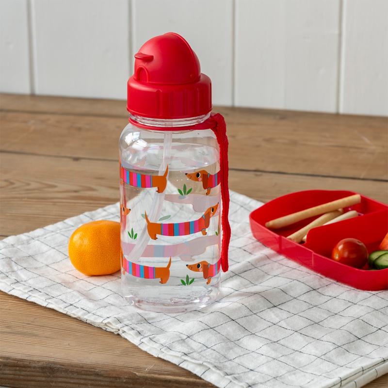 Gourde réutilisable 500ml - Sausage Dog