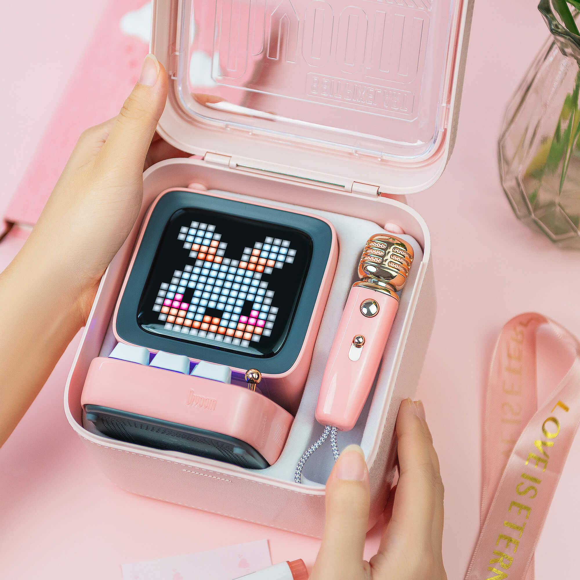 Enceinte + Micro Bluetooth avec Ecran - Ditoo Mic Rose