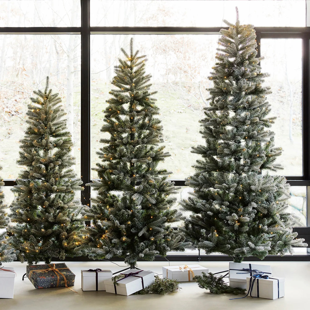 Sirius elias - sapin de Noël h.150 cm