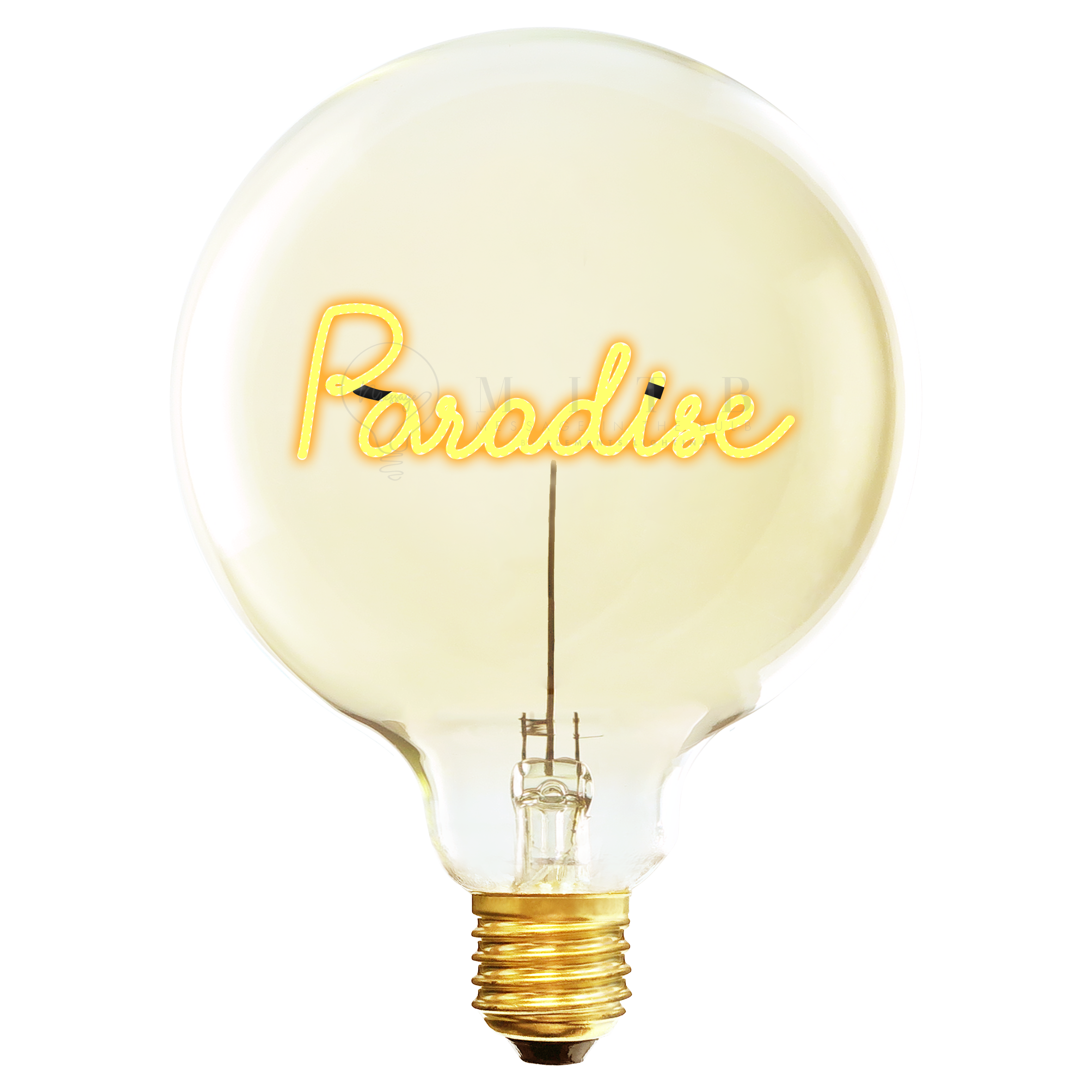 Ampoule Paradise