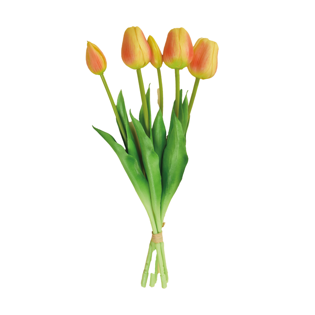 Bouquet de 5 tulipes h.37 cm
