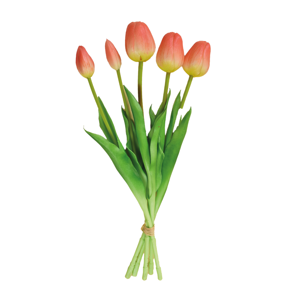 Bouquet de 5 tulipes h.37 cm