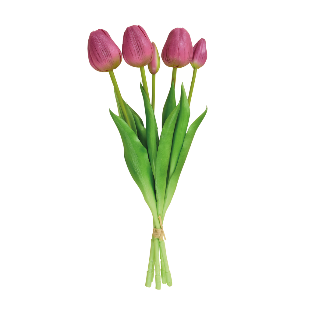 Bouquet de 5 tulipes h.37 cm