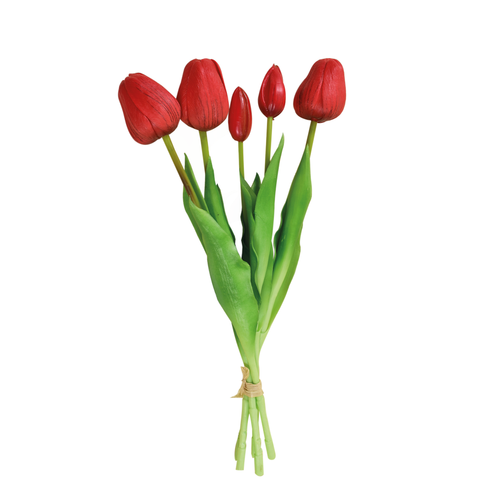 Bouquet de 5 tulipes h.37 cm