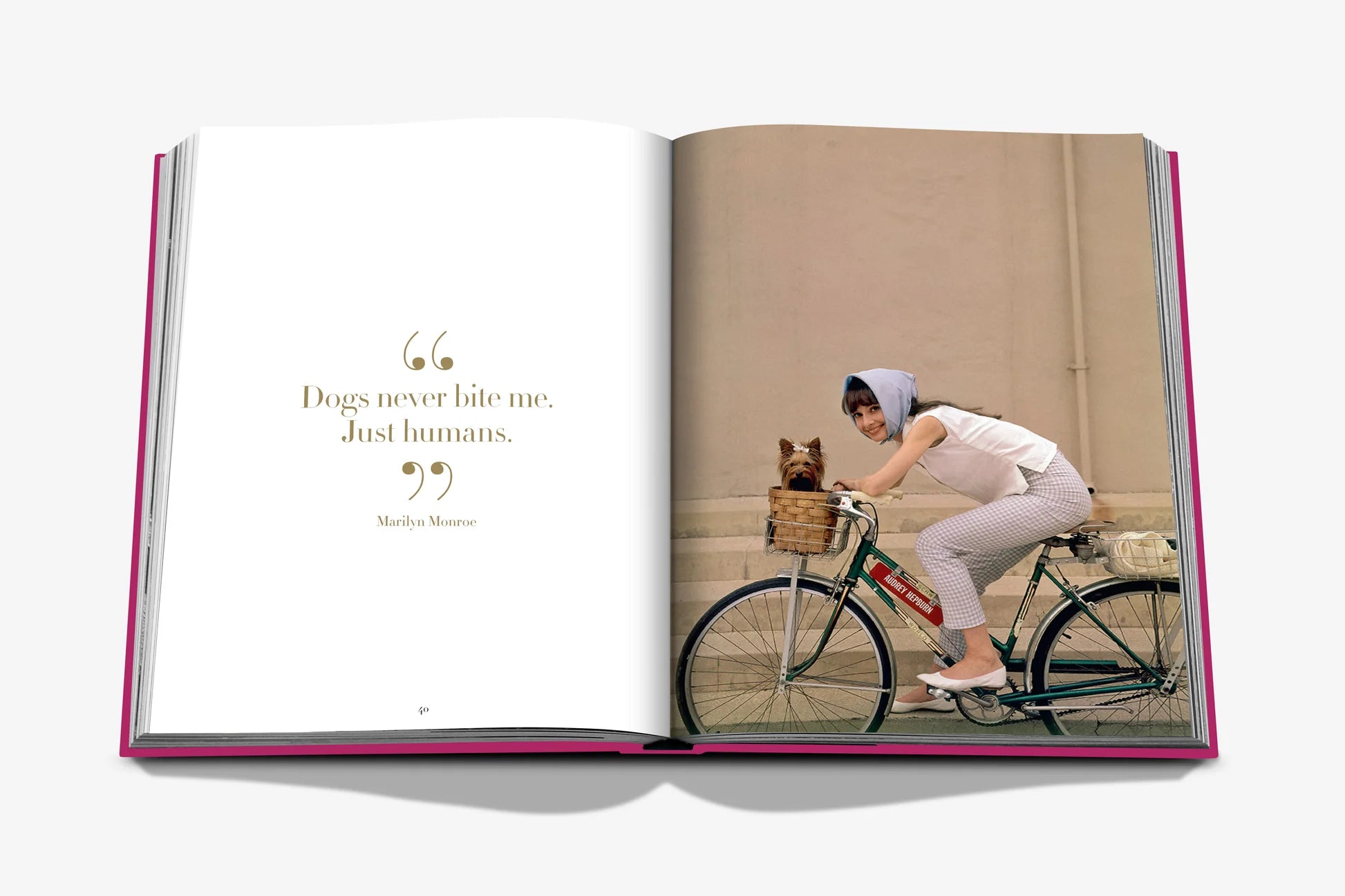 Livre Assouline - Chic dogs
