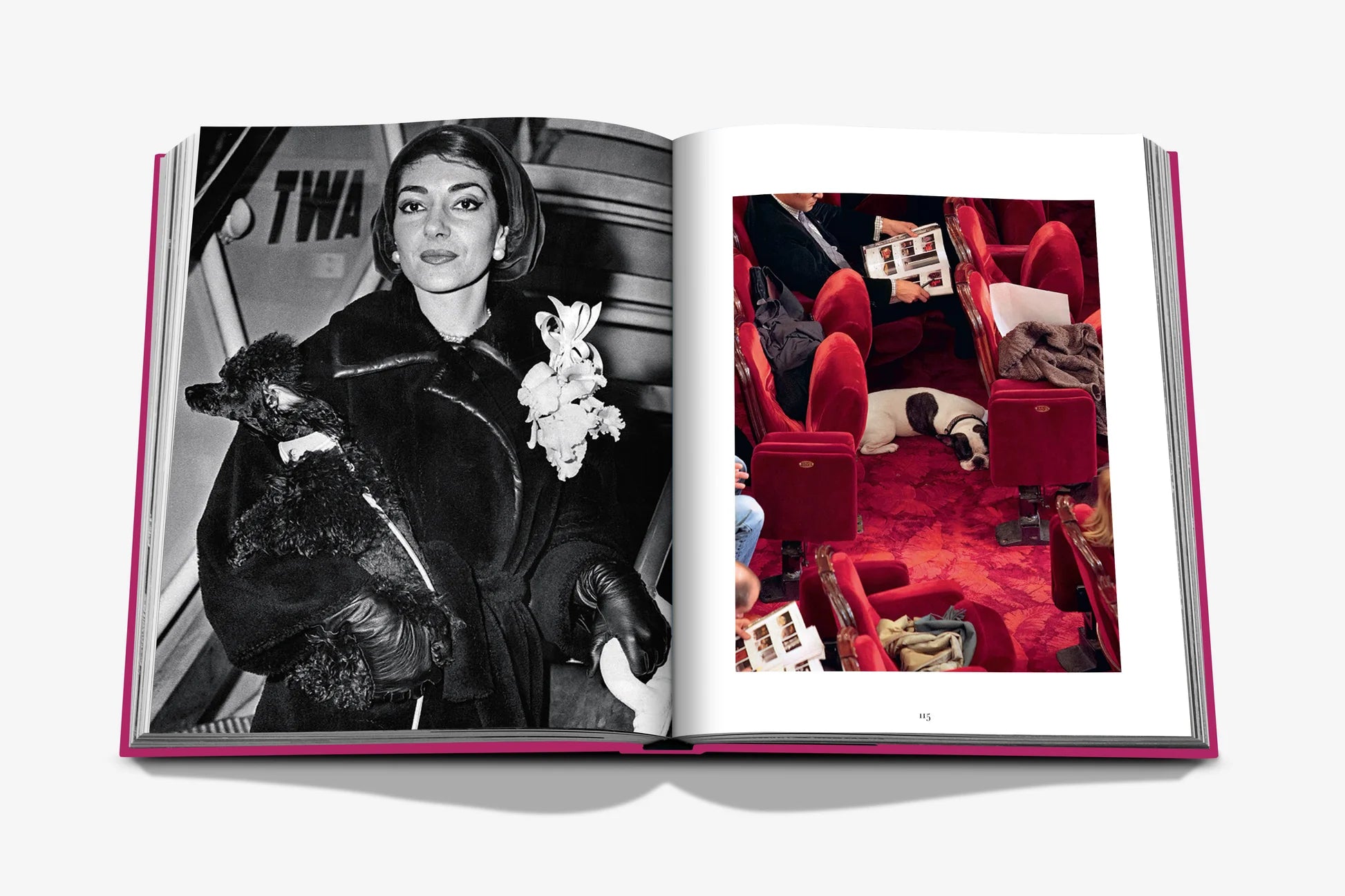 Livre Assouline - Chic dogs