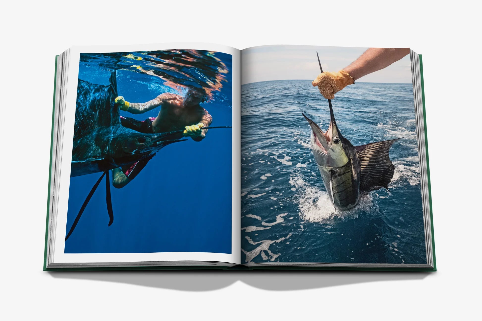 Livre Assouline - Costa Rica Vida