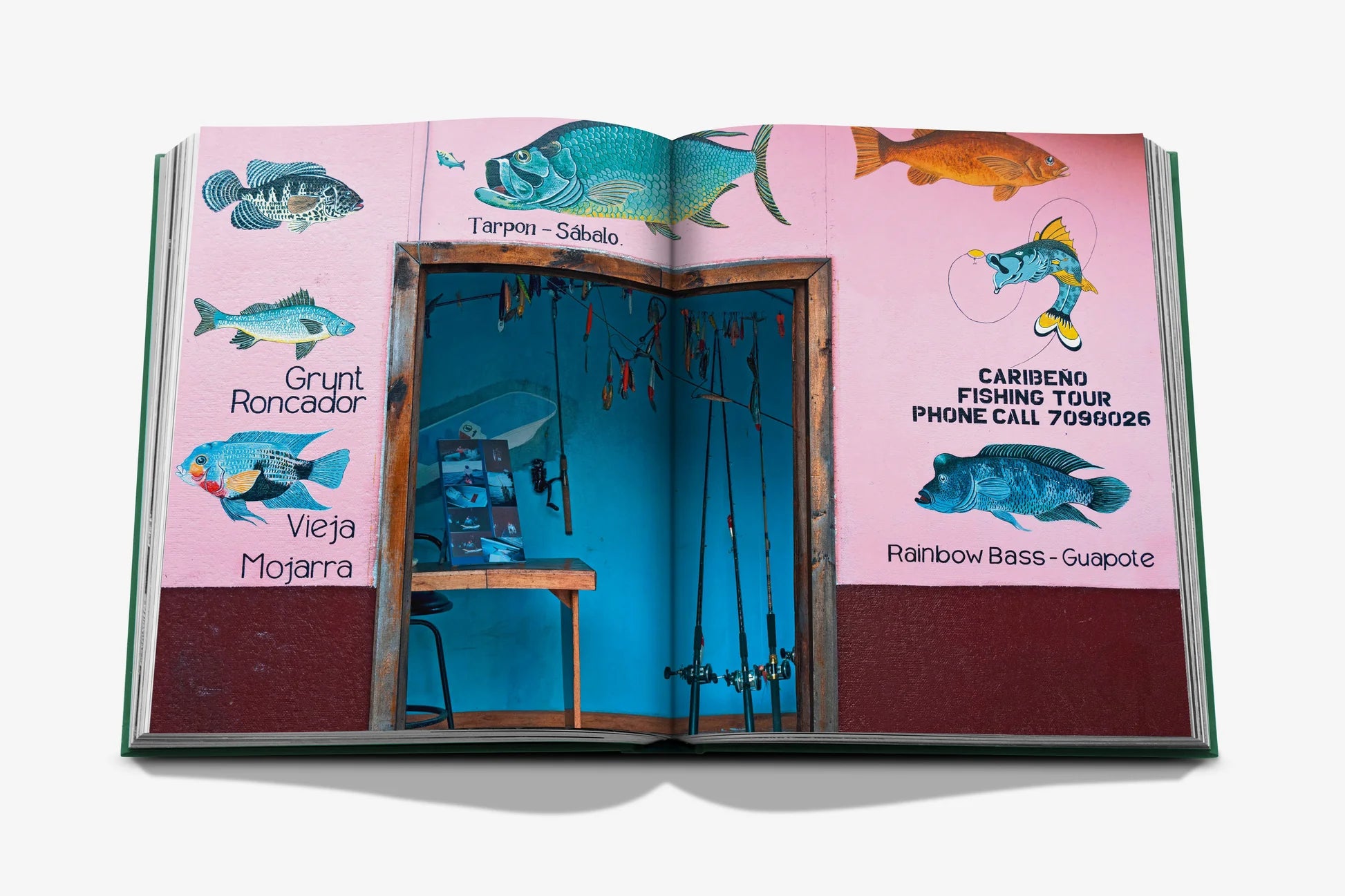 Livre Assouline - Costa Rica Vida